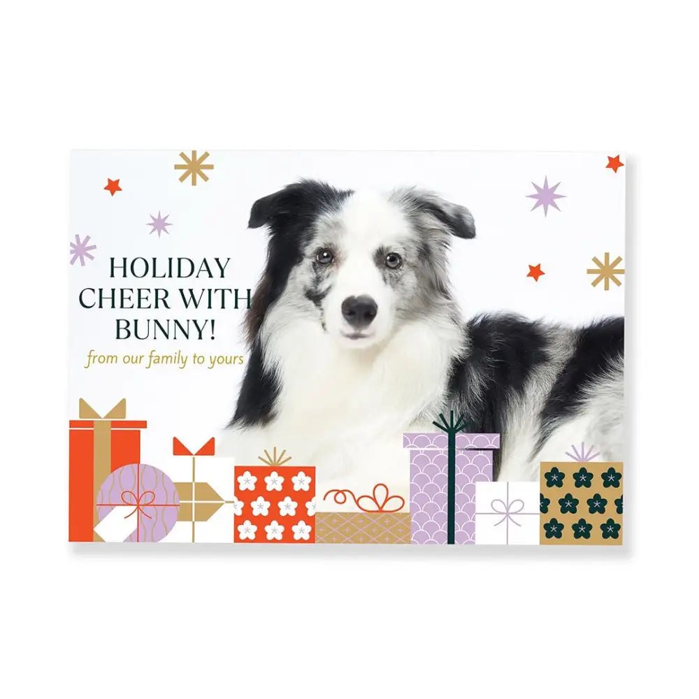 Christmas Pet Memories Video Album - Customizable 7’’ Digital Display For Photographers Pet