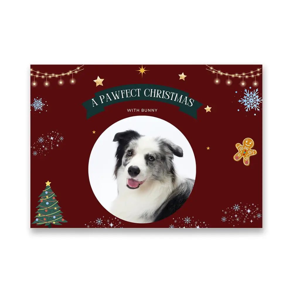 Merry Paws Video Album: Capturing Christmas Dog Moments Pet Video Album