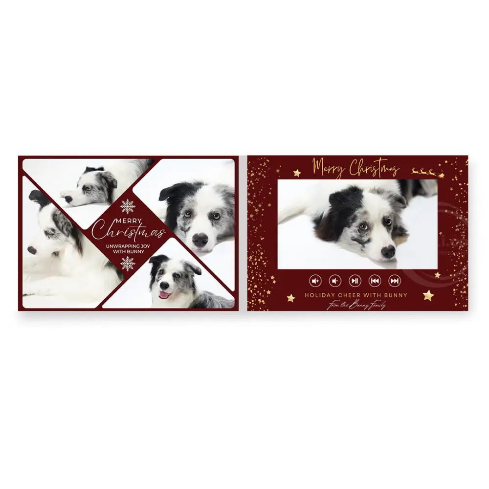 Merry Paws Video Album: Capturing Christmas Dog Moments Pet Video Album