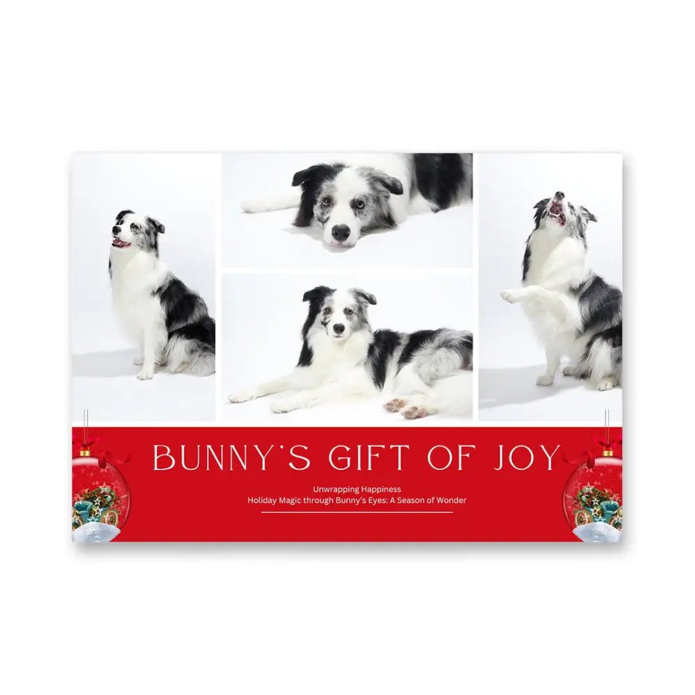 Santa Paws Festive Video Book – Personalized Dog Christmas Photo Album Pet Video Album